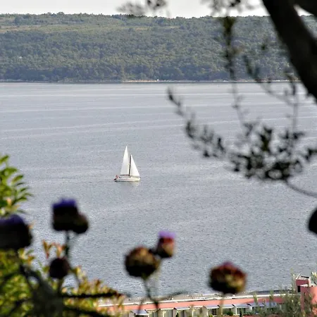 شقة Rubin بيران