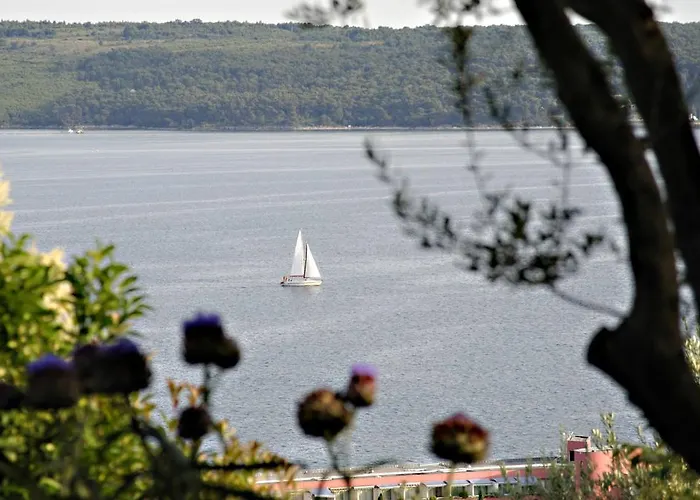 דירה Rubin פיראן